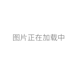上海恒平AE124分析天平 萬(wàn)分之一電子天平120g/0.1mg